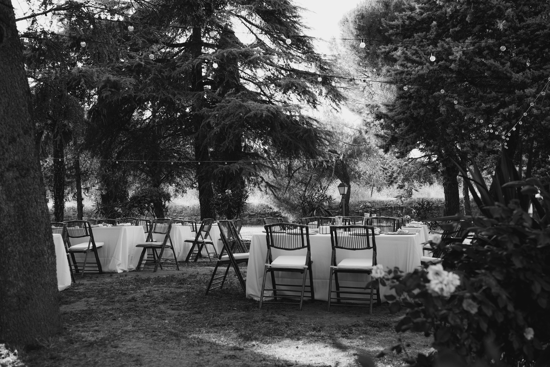 01_PREPARATIVOS_I&N31